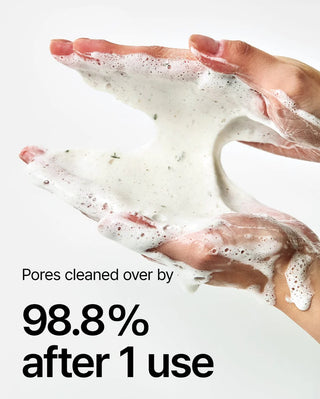 Heartleaf Quercetinol Pore Deep Cleansing Foam - Glow Skin Products